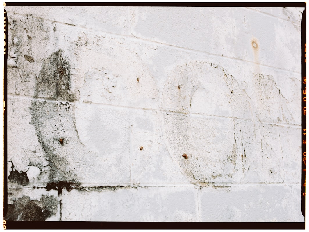 Basement Water Removal service in Walnut Creek, CA