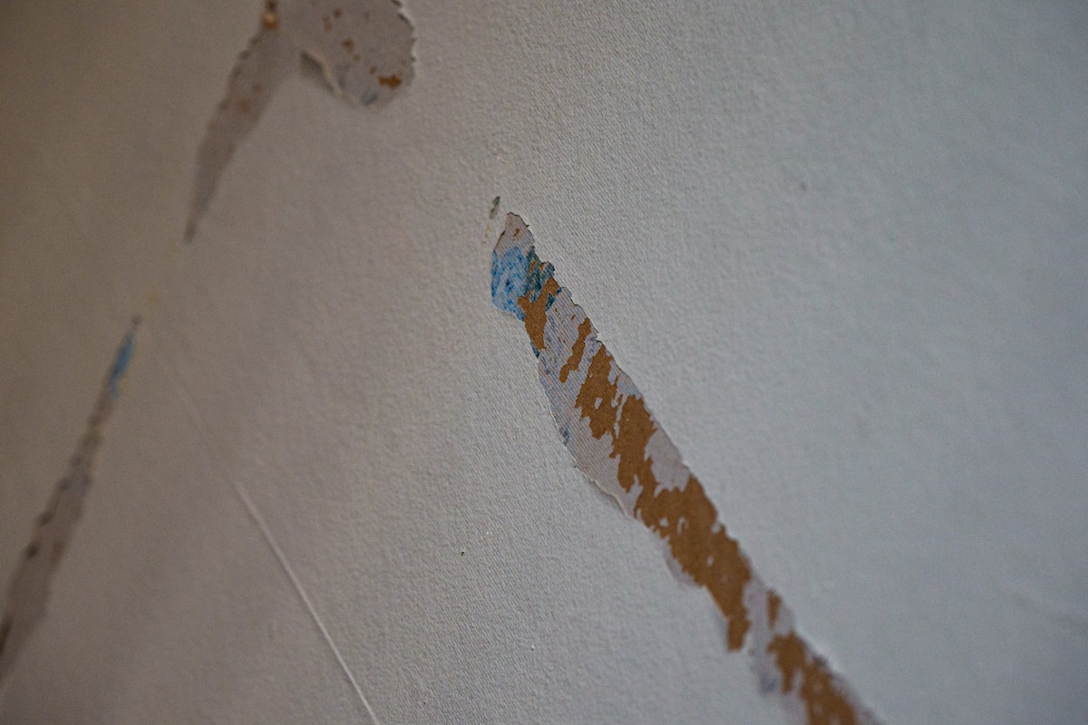 Mold Remediation service in Walnut Creek, CA